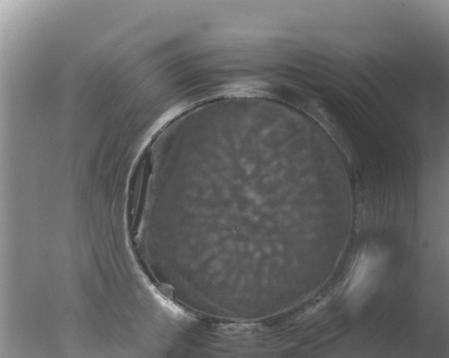 X0000077360853200610271852