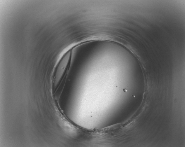 X0000077360854200610271852