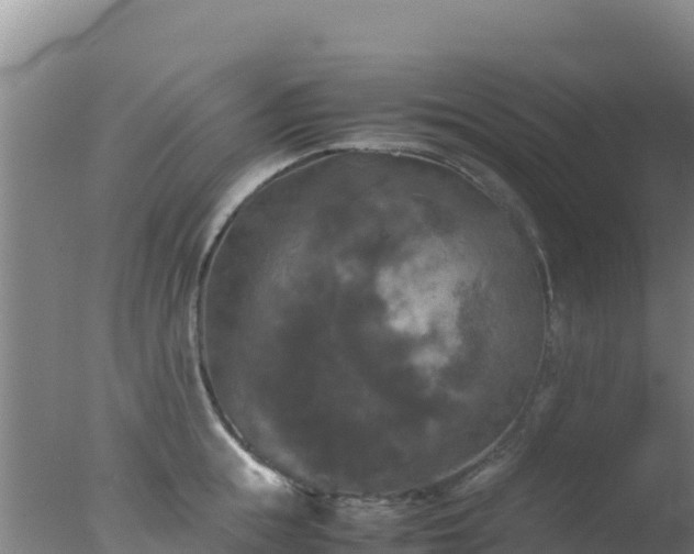 X0000077360855200610271852