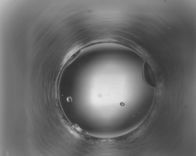 X0000077360858200610271852