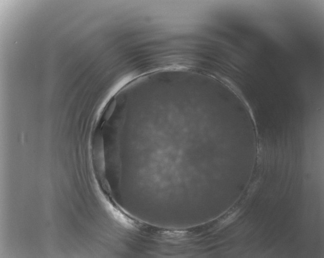 X0000077360859200610271852