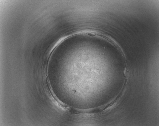 X0000077360860200610271852