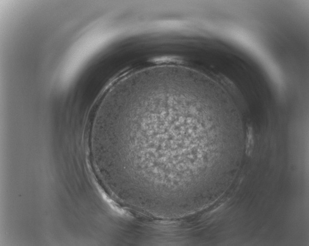 X0000077360861200610271852