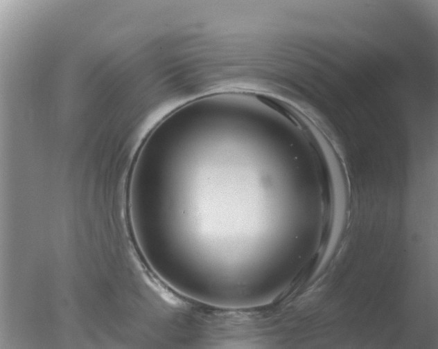 X0000077360862200610271852