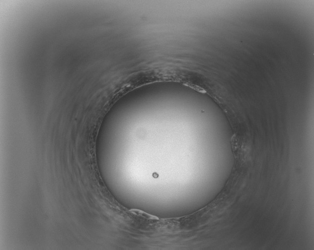 X0000077360865200610271851