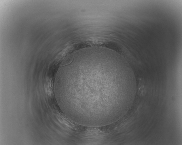 X0000077360866200610271851