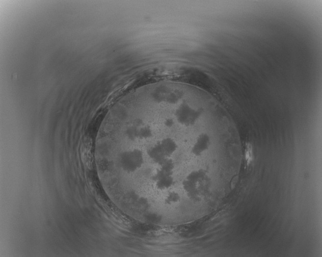 X0000077360867200610271851