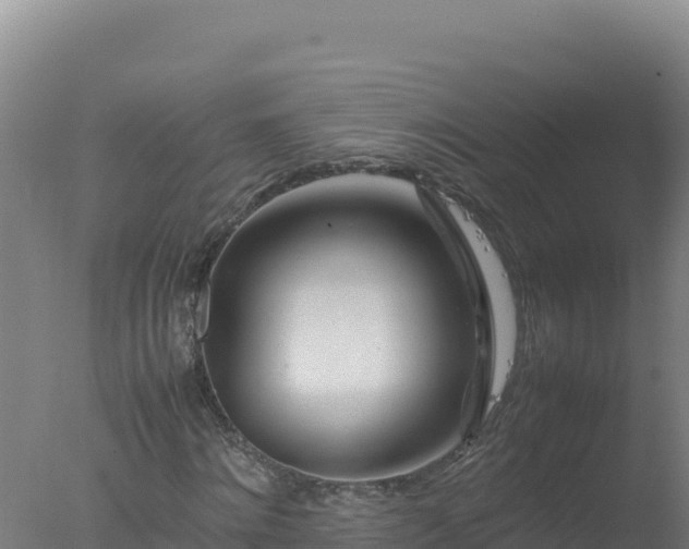 X0000077360868200610271851