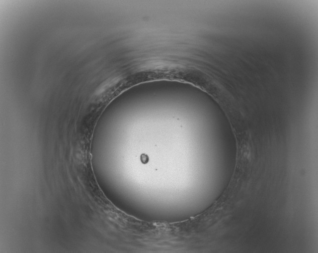 X0000077360869200610271851