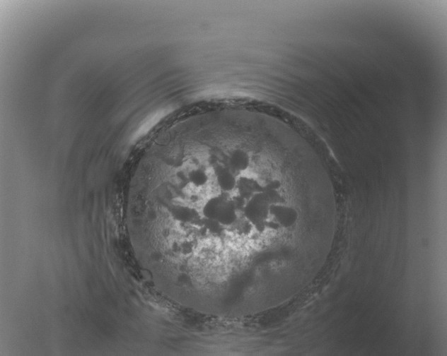 X0000077360871200610271851