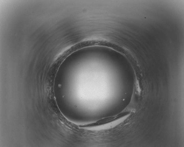 X0000077360872200610271851