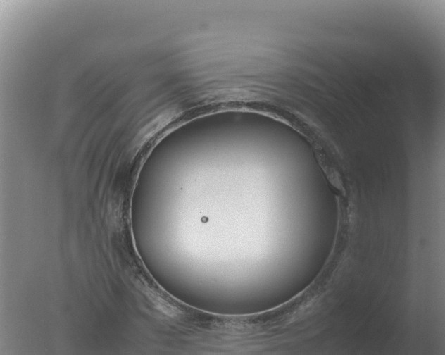 X0000077360873200610271851