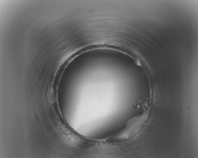 X0000077360876200610271851