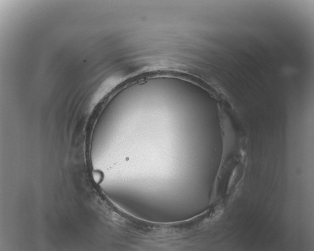 X0000077360877200610271851