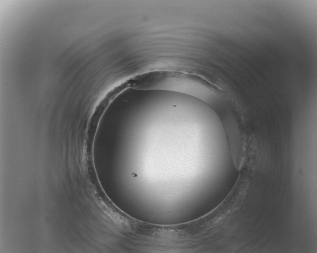 X0000077360880200610271851