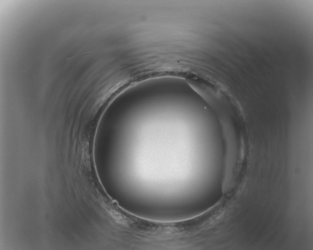 X0000077360881200610271851