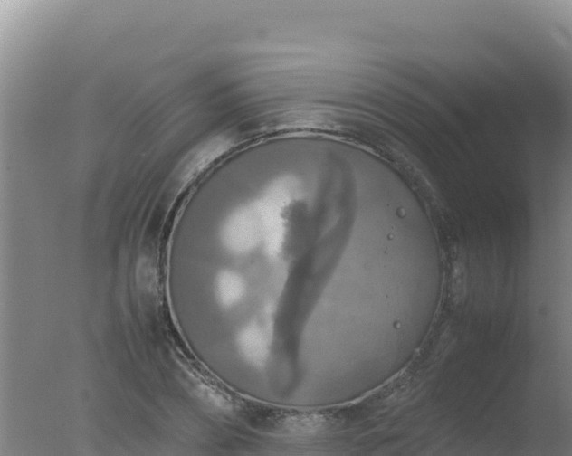 X0000077360882200610271851