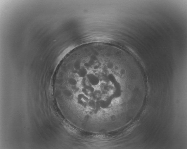 X0000077360883200610271851