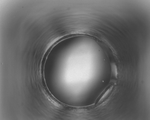 X0000077360884200610271851