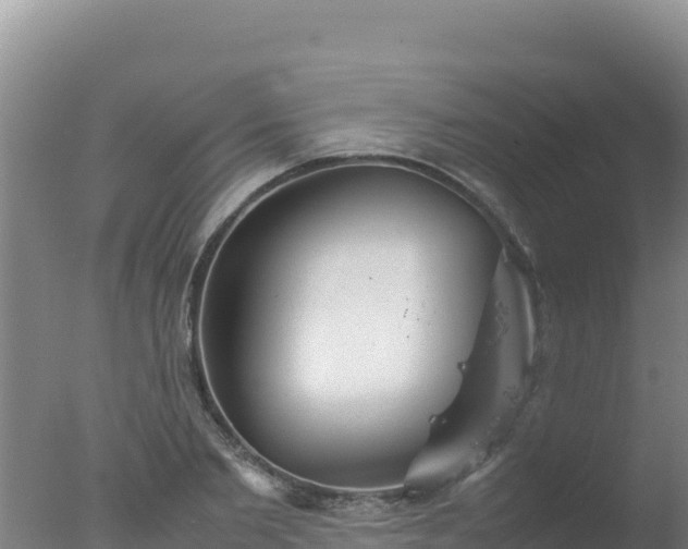 X0000077360885200610271851