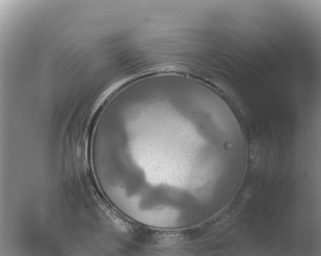 X0000077360886200610271851