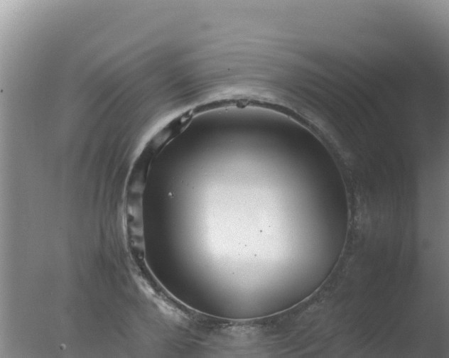 X0000077360888200610271851