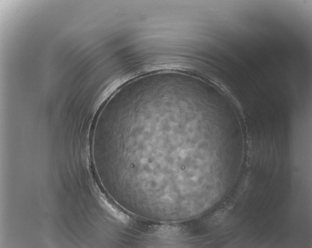 X0000077360890200610271851