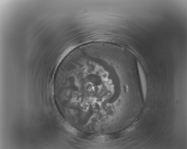 X0000077360891200610271851