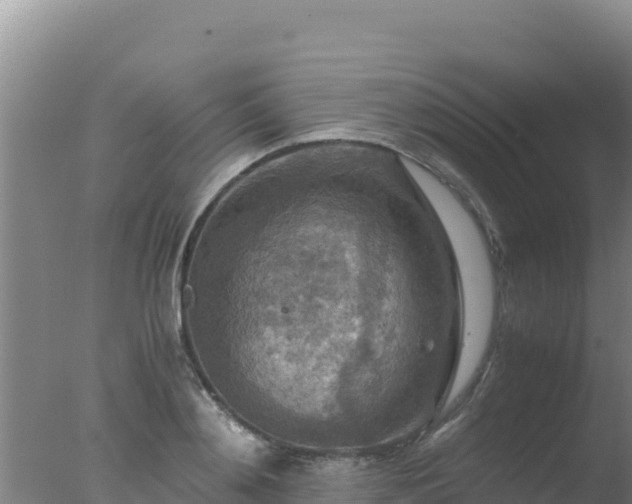 X0000077360892200610271851