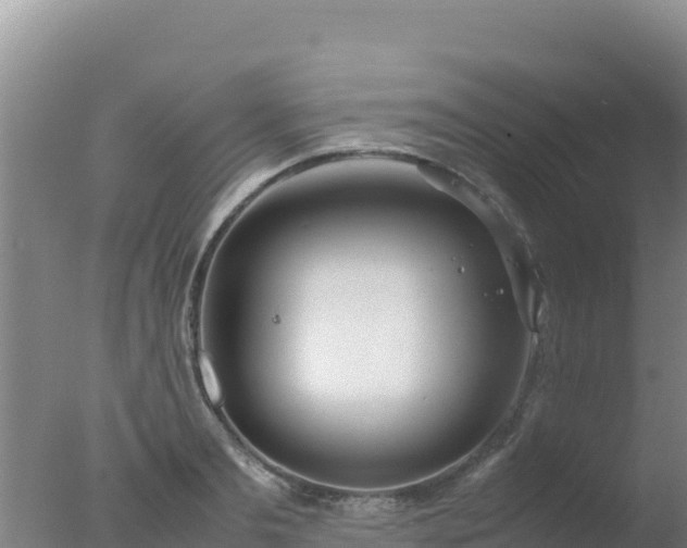 X0000077360893200610271851