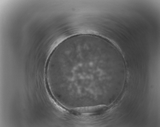 X0000077360895200610271851