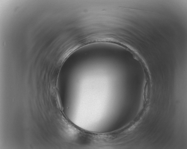 X0000077360897200610271851