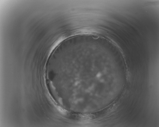 X0000077360899200610271851