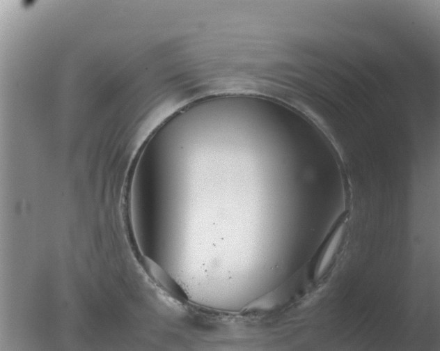 X0000077360901200610271851