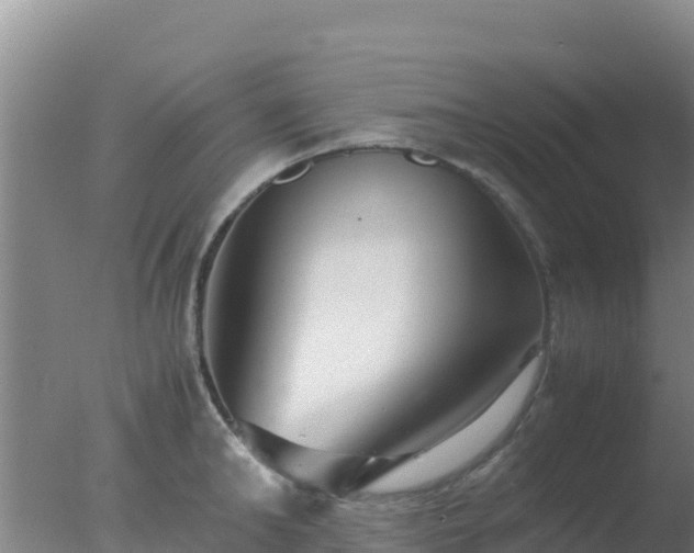 X0000077360902200610271851