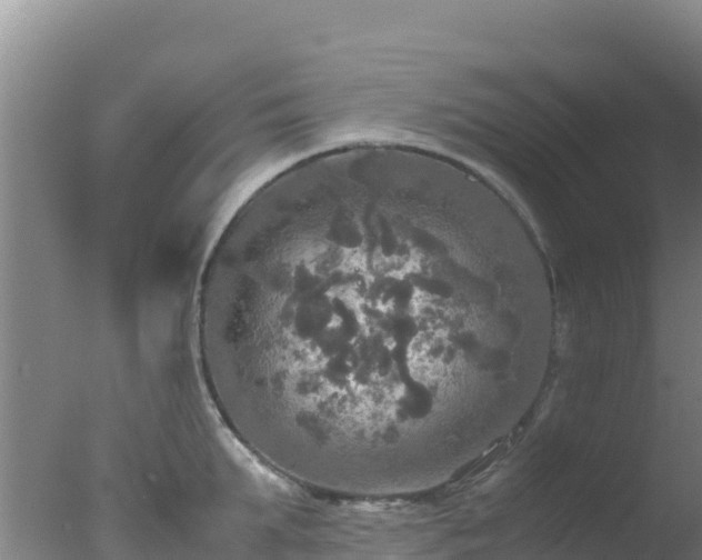 X0000077360903200610271851