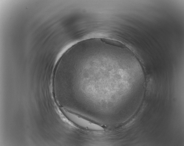 X0000077360904200610271851