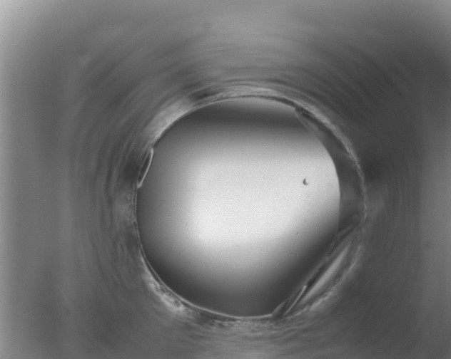 X0000077360905200610271851