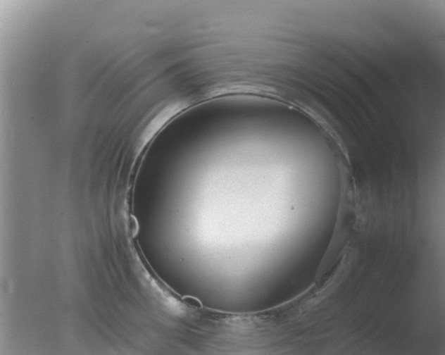 X0000077360906200610271851