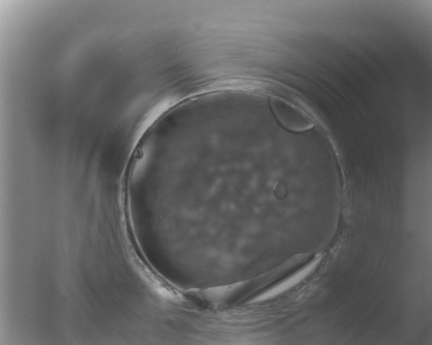 X0000077360907200610271851