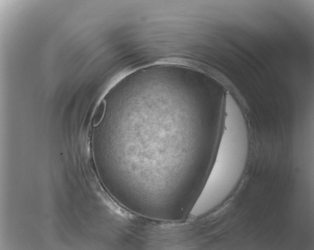 X0000077360908200610271851