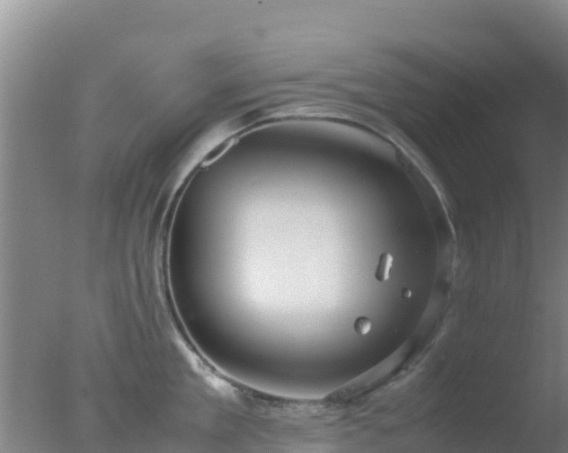 X0000077360909200610271851