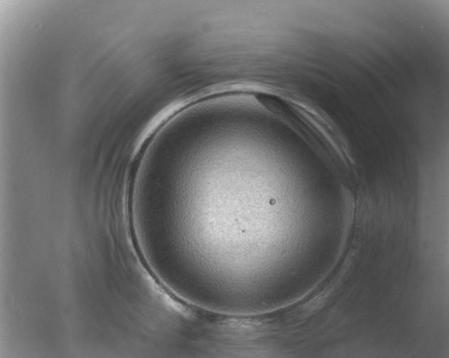 X0000077360910200610271851