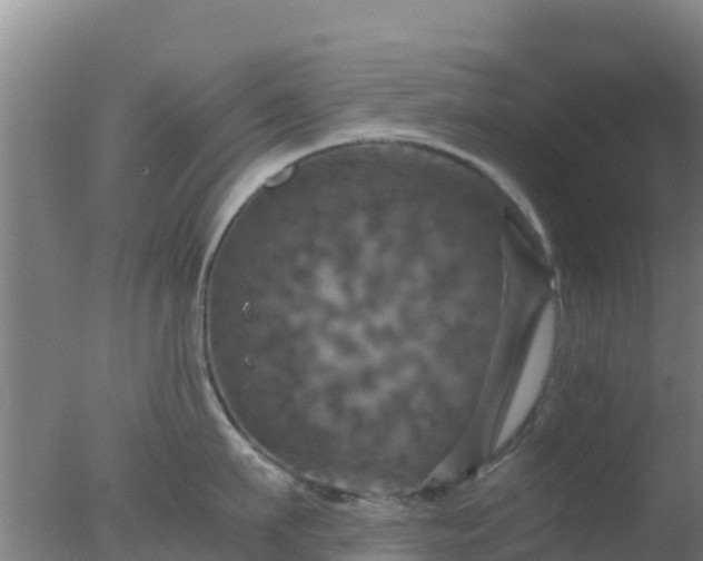 X0000077360911200610271851