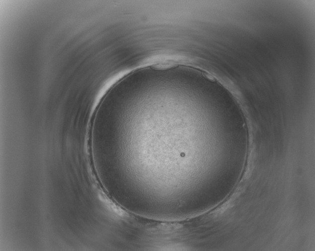 X0000077360912200610271851