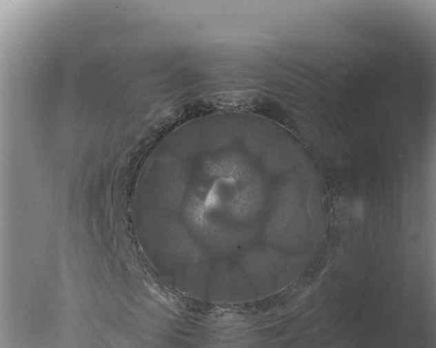 X0000077360913200610271850