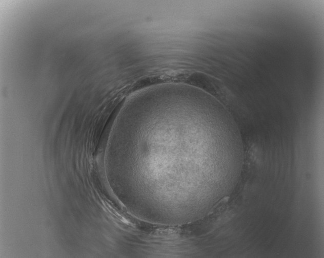 X0000077360914200610271850