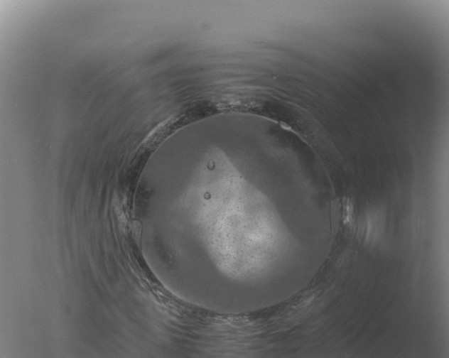 X0000077360915200610271850