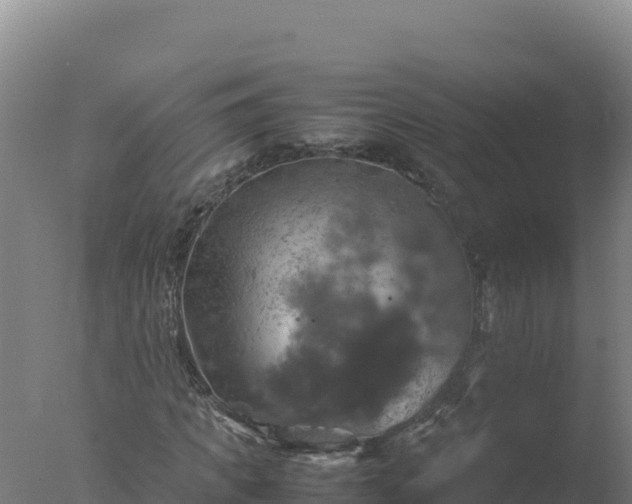 X0000077360917200610271850