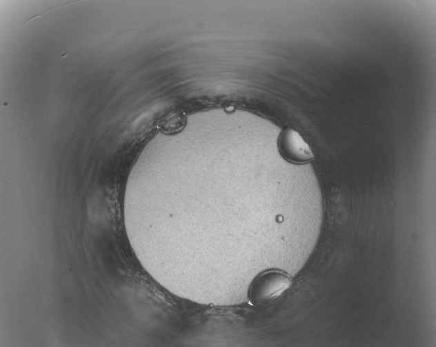 X0000077360918200610271850